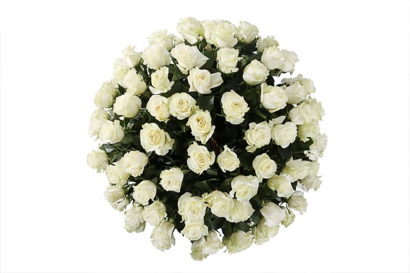 Pure Serenity: 100 White Roses in a Basket - Image 2