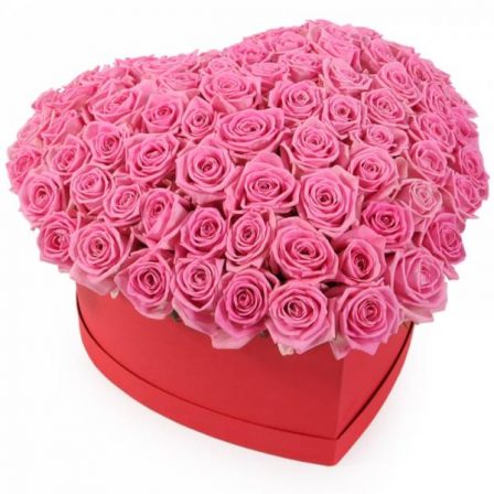 Blush of Love: 50 Pink Roses in a Scarlet Box