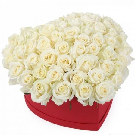 Pure Love: 50 White Roses in a Scarlet Box