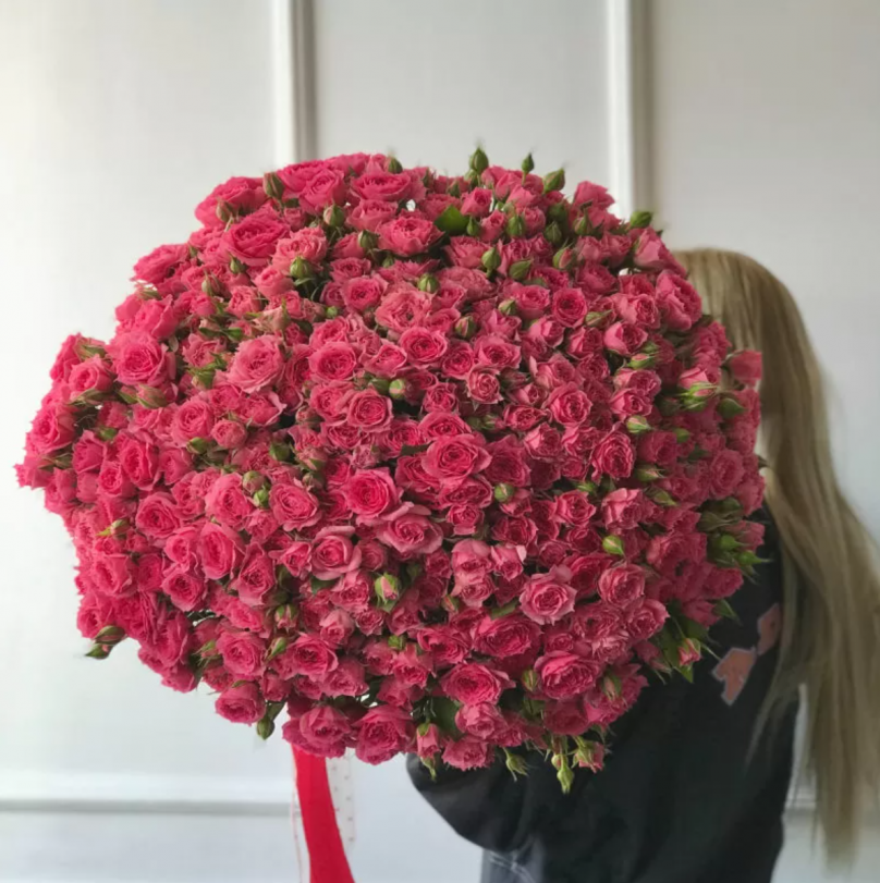 Rose Velvet: 100 Hot Pink Garden Spray Roses