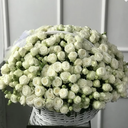 Soft Embrace: 100 White Garden Spray Roses
