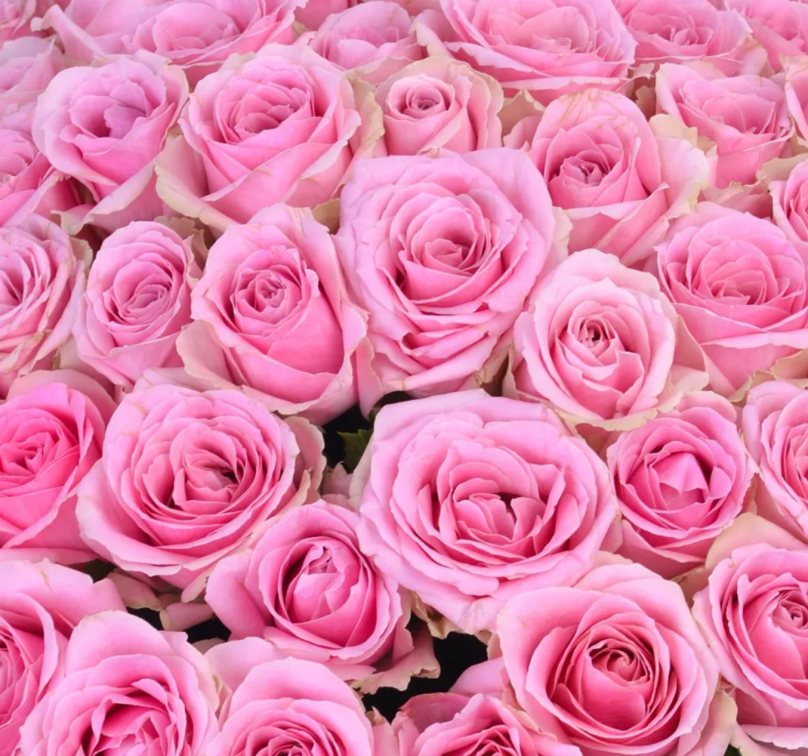 California Pink Thunderstorm: Choose from 20 to 1001 Pink Roses - Image 3