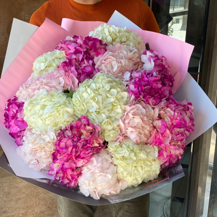 Blushing Harmony: 25 Hydrangeas