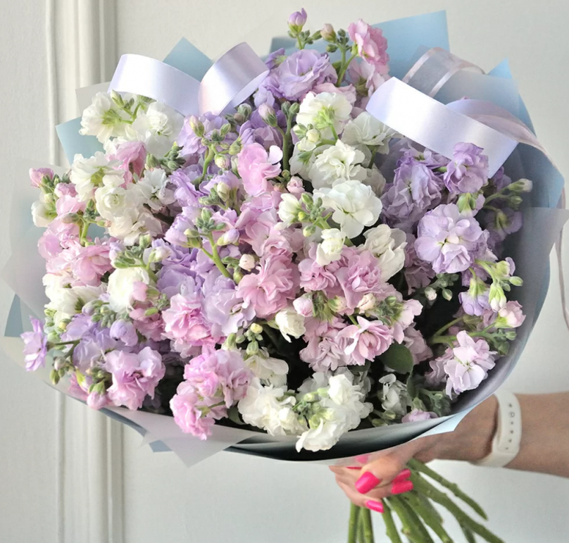 Dreamy Mist: Stocks with a Delicate Fragrance Choose from 30 to 700 - Image 7