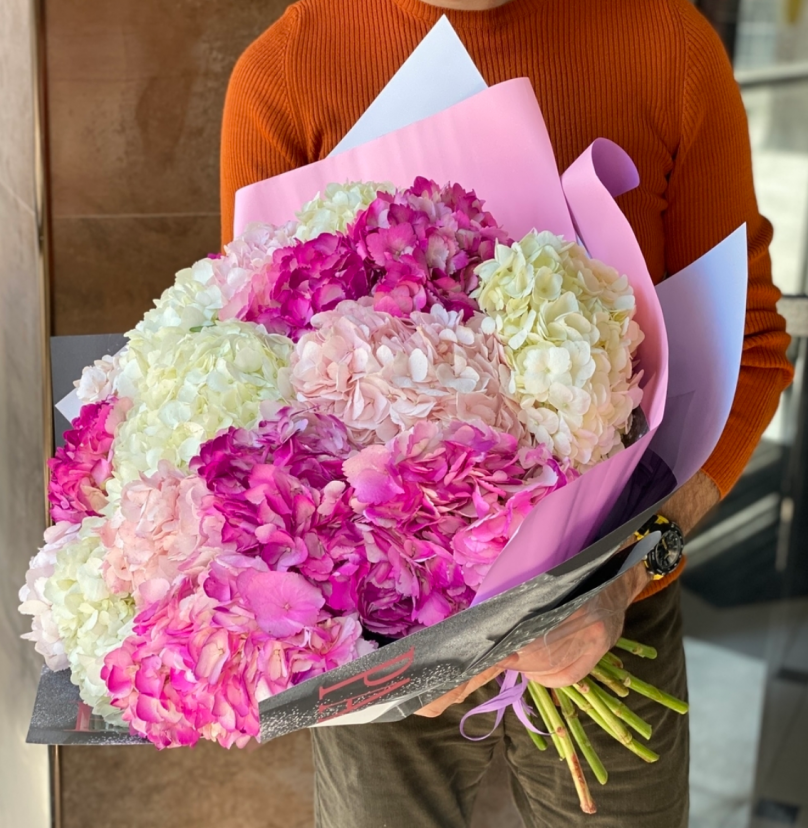 Blushing Harmony: 25 Hydrangeas - Image 2