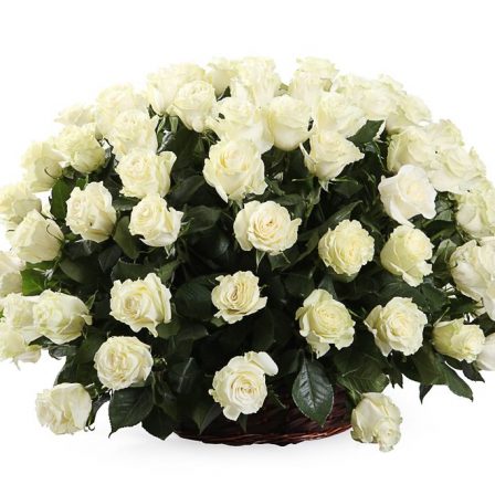 Pure Serenity: 100 White Roses in a Basket