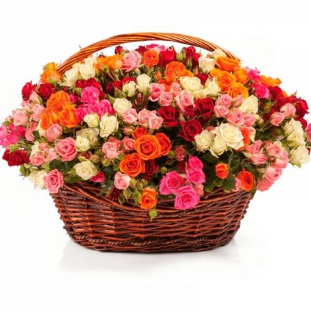 Blooming Spectrum: 100 Mixed Spray Roses