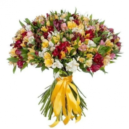 Vivid Horizon: 150 Alstroemerias