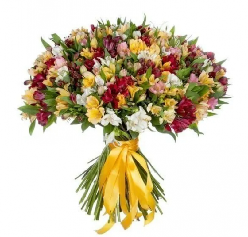 Vivid Horizon: 150 Alstroemerias