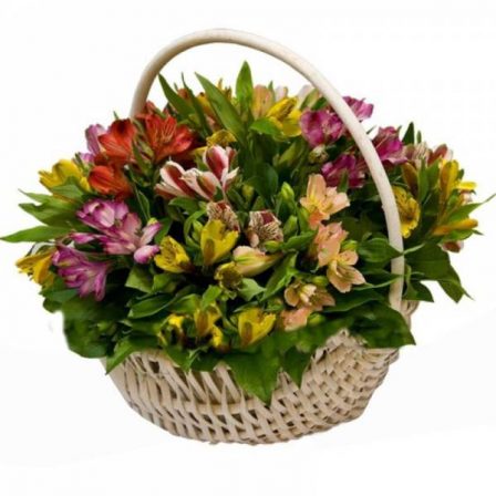 Echo of Sunset: 20 Alstroemerias in a Basket