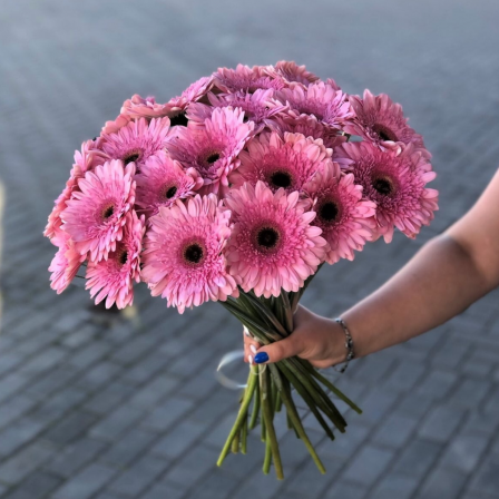 Pink Bliss: 30 Pink Gerberas