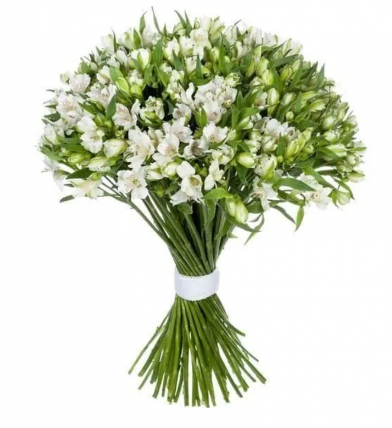 Snowy Embrace: 50 White Alstroemerias