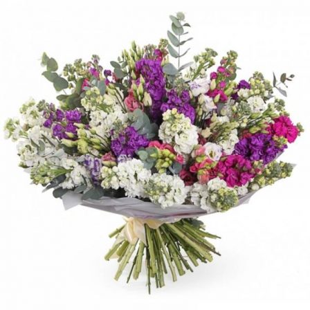 Cloud’s Tenderness: Mixed Blooms Box  (Stocks, Lisianthus and Eucalyptus)