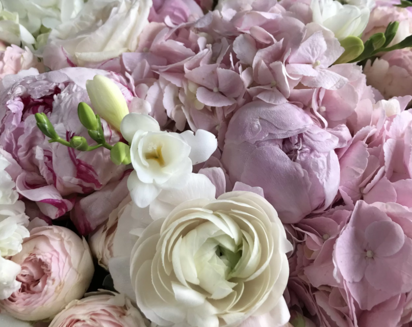 Marshmallow Bloom: Mixed Blooms Box (Hydrangeas, garden roses, ranunculuses, stock, peonies, hypericum berries, eucalyptus) - Image 3