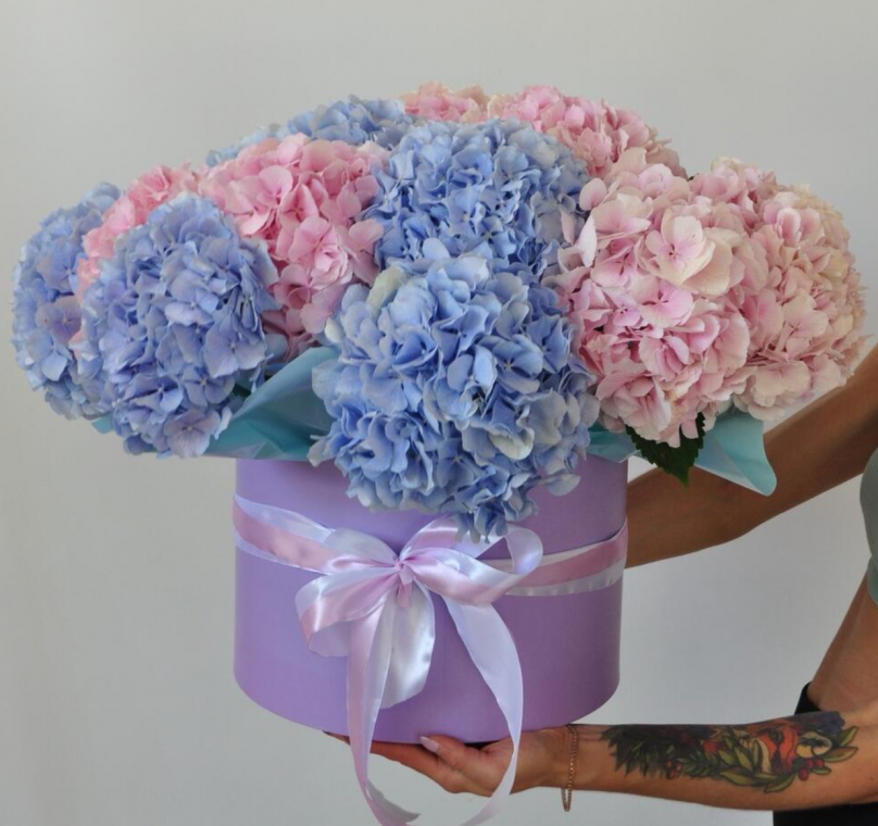 Harmony in Bloom: 20 Hydrangeas (Pink and Blue) - Image 2