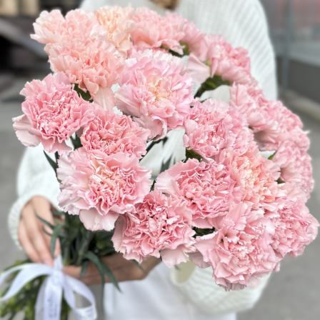 Petal Poetry: 20 Pink Carnations