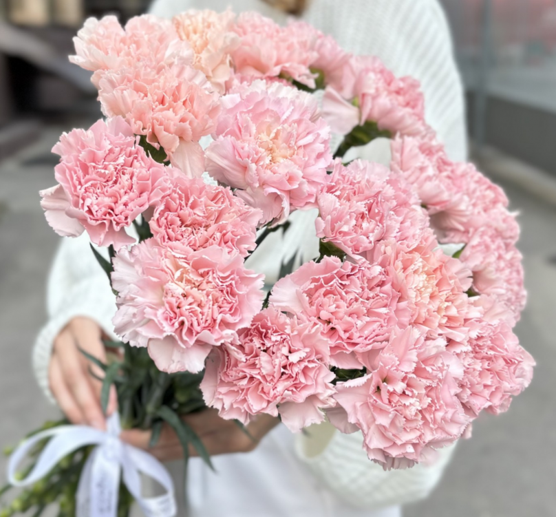 Petal Poetry: 20 Pink Carnations