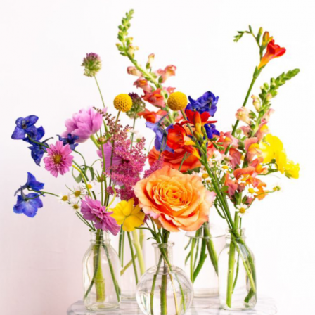 Additional Guest Table for the «Colorful Summer» Full Wedding Set