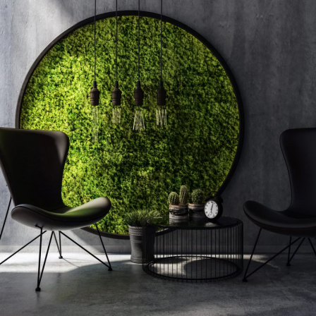 Moss Art Collection