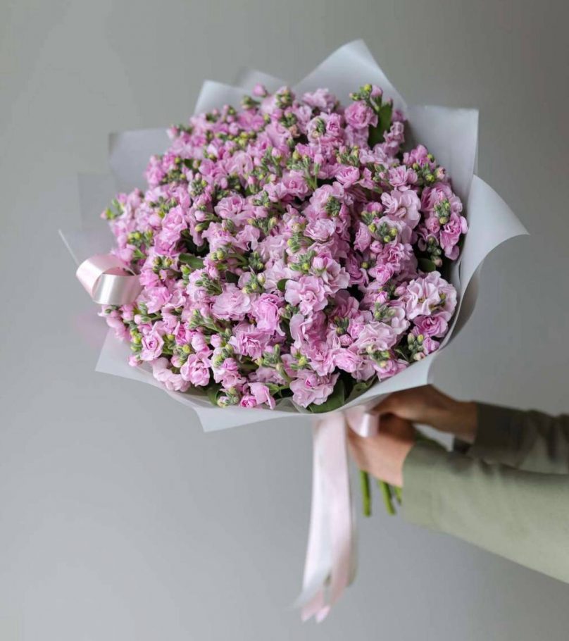 Dreamy Mist: Stocks with a Delicate Fragrance Choose from 30 to 700 - Image 5