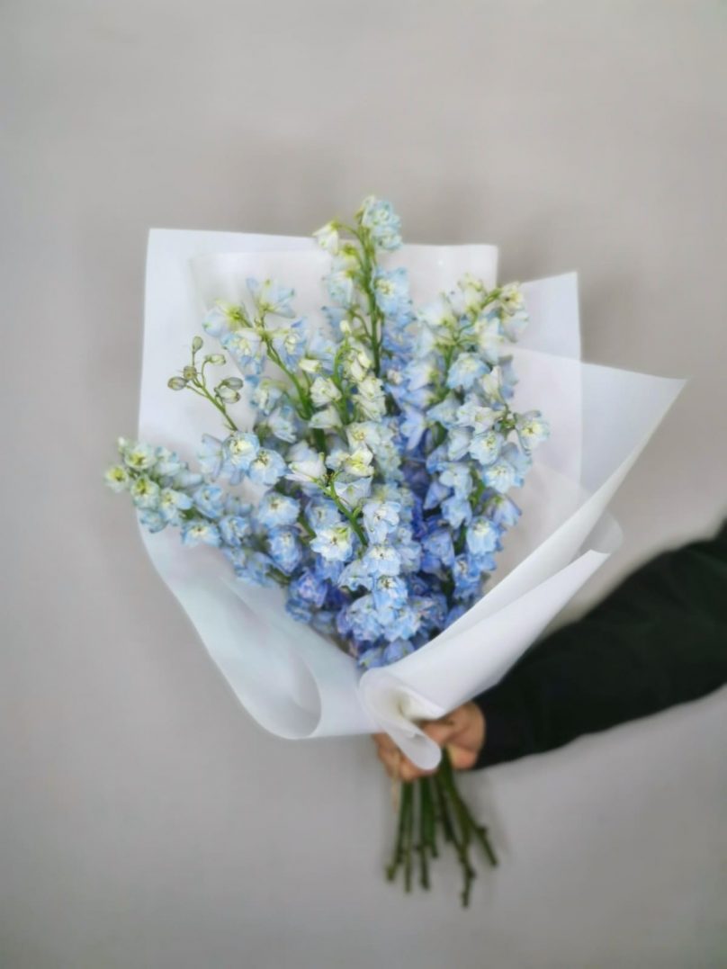 Blue Lagoon: 10 Blue Delphiniums