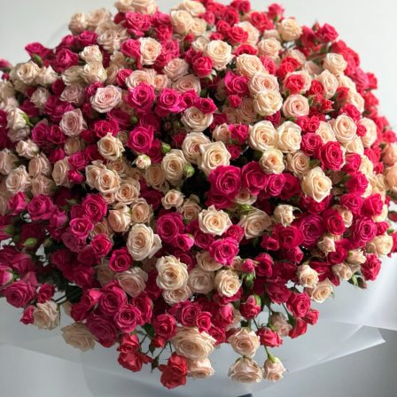The Roses Collection