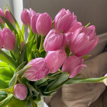 Mother's Day Collection