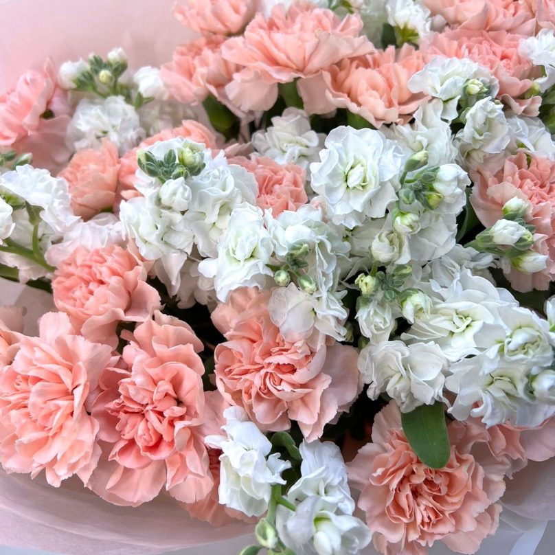 Sugar Rush: 20 Peach Carnations and 10 White Stocks - Image 2