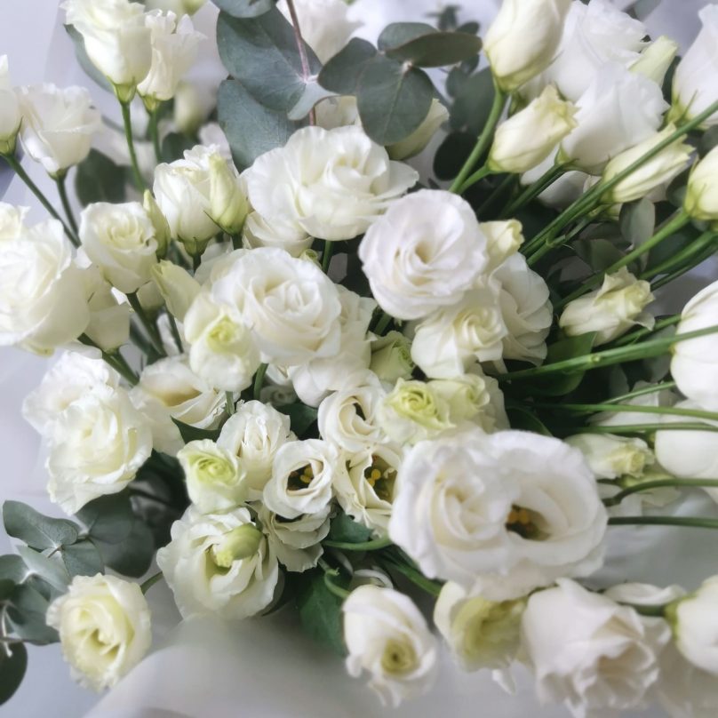 Eva Blanche: 10 Lisianthus Stems and Eucalyptus - Image 2