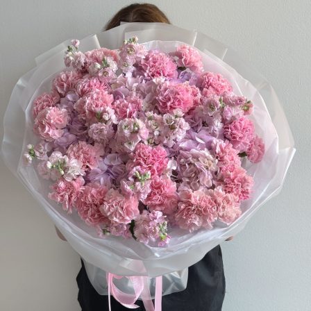 Pink Focus: 20 Pink Carnations, 10 Stock Flowers and 5 Hydrangeas
