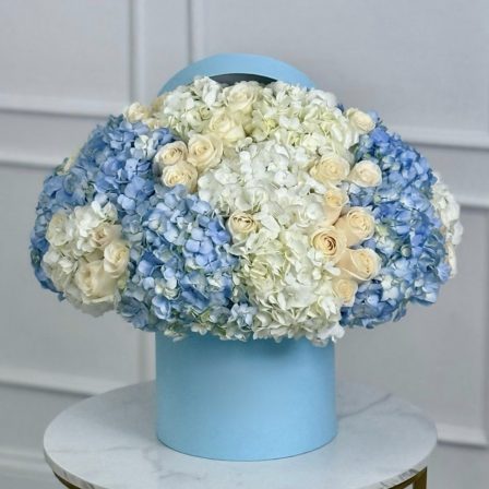 Hello, Baby! — Pink, Blue, or a Beautiful Mix