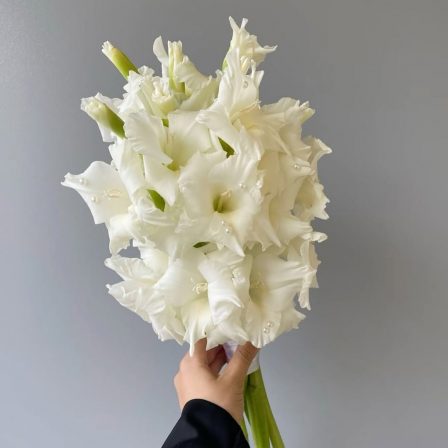 Bridal bouquet: «Celestia»