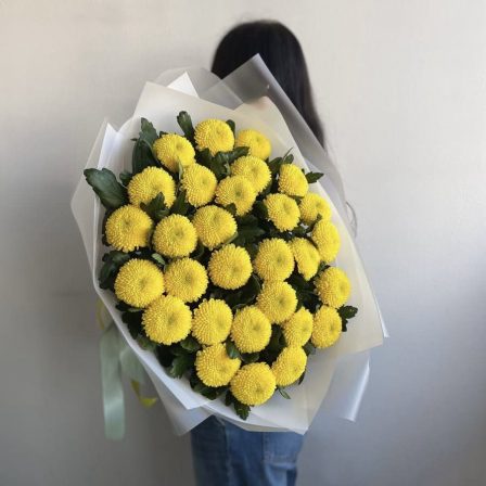 Sunlit Isles: 30 Yellow Chrysanthemums