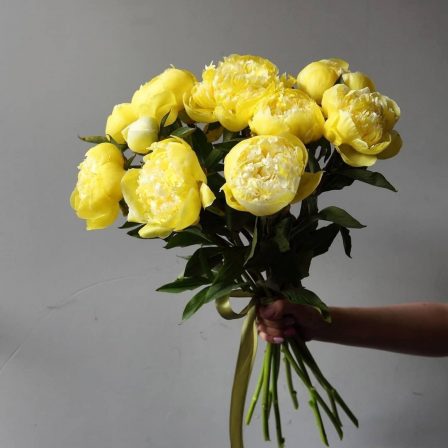 Golden Sparks: 12 Yellow Peonies