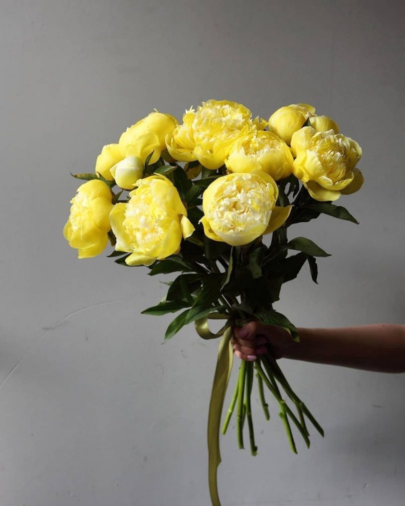 Golden Sparks: 12 Yellow Peonies