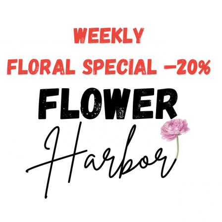 Weekly Floral Special – 20%